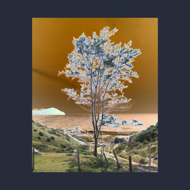 Lone tree under a golden sky by stevepaint