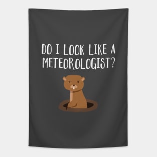 Do I Look Like A Meteorologist? Groundhog Day Funny Tapestry