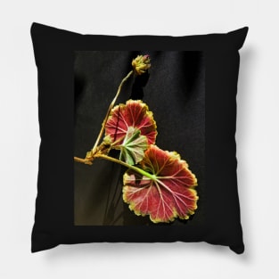 Death of a Geranium Pillow