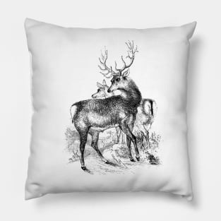 Deer Vintage Illustration Pillow