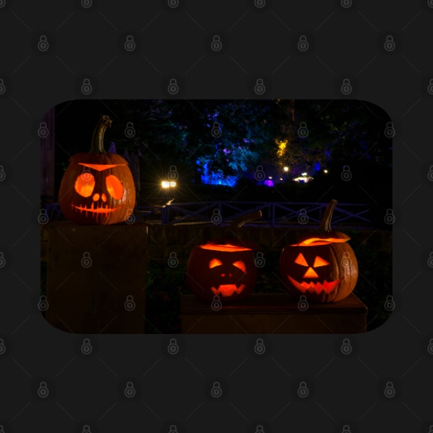 Halloween Pumpkins by ElviraDraat