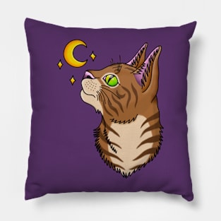 Cat and Moon Pillow