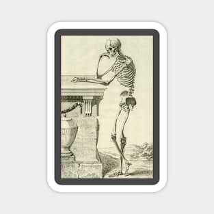 Vintage Science and Healthcare Skeleton, Human Anatomy by Denis Diderot. Magnet