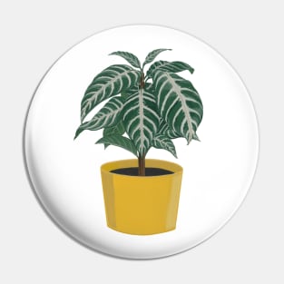 Zebra Plant with Mustard Pot Pin