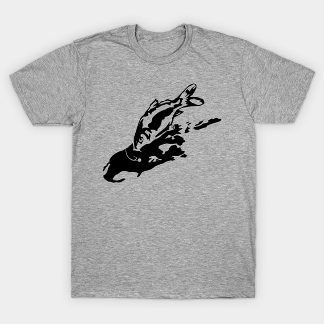 Carp fishing T-Shirt