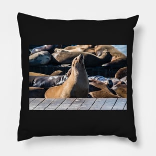 Brown and Tan Sea Lion Pillow