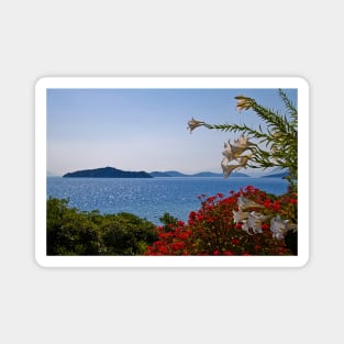 Greece. Islands in Flowers. Magnet