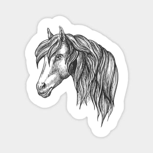 Horse Head- Pencil Drawn Sketch Magnet