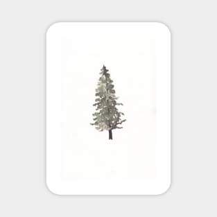 Pine Tree Magnet