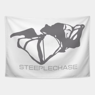 Steeplechase Resort 3D Tapestry