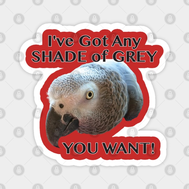 Any Shade of Grey - African Grey Parrot Magnet by Einstein Parrot