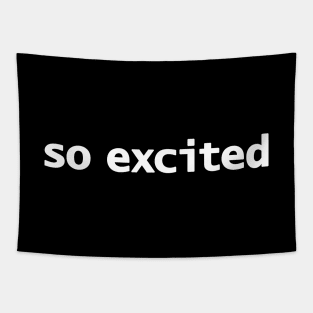 So Excited Funny Typography Tapestry