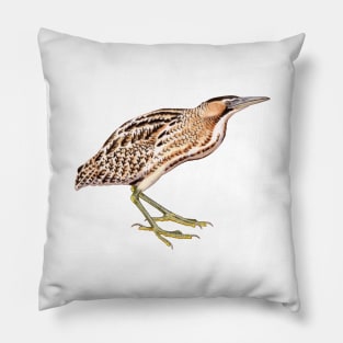 Eurasian Bittern Pillow