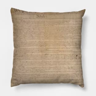 Team Constitution Pillow