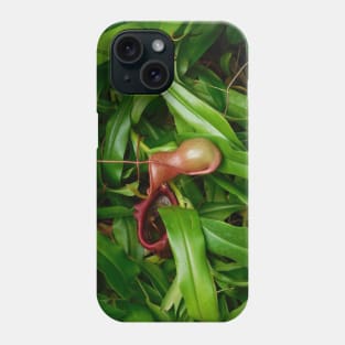 Pitcher Plants Phone Case