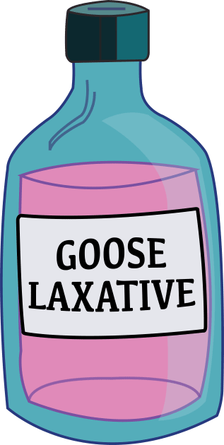 Goose Laxative Kids T-Shirt by Eugene and Jonnie Tee's