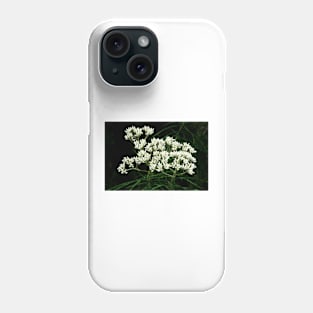 Shiny Dogwood Phone Case