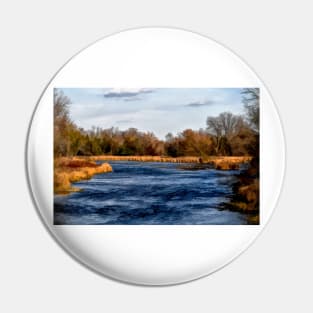 Wetlands Pin