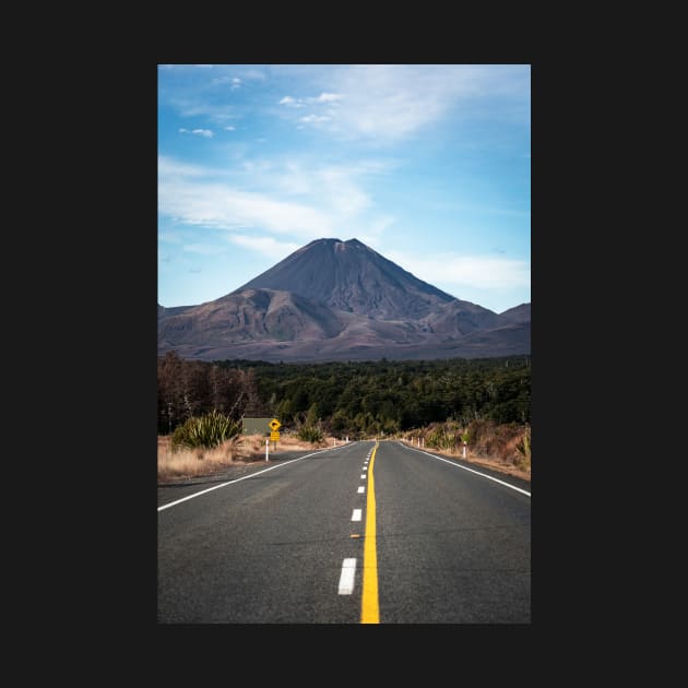 Road To Mount Doom - Taranaki in New Zealand by Danny Wanders