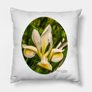 Japanese Iris Pillow