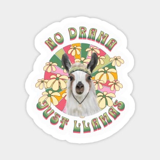 No Drama Just Llamas - Boho Llama Magnet