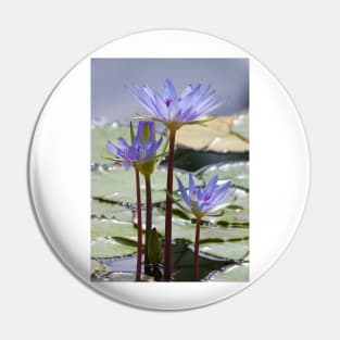 Electric Lilies Pin