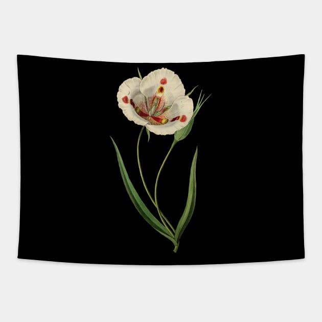 Vintage Retro White Flower Blossom Summer Spring Classic Floral Paint Illustration Art Tapestry by twizzler3b