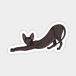 Black Sphynx Cat With Blue Eyes, Hairless Cat Magnet