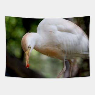 Cattle Egret Eating Tapestry