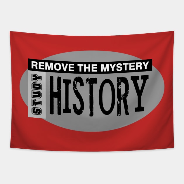 Remove Mystery History Gray Oval 2 Tapestry by Barthol Graphics