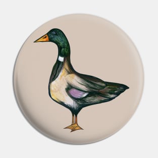 Mallard Duck Pin