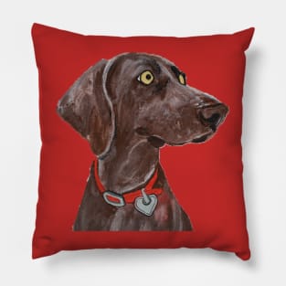 Bella Blue the Weimaraner over Red Pillow