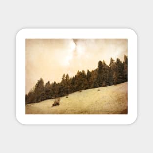 Sepia Snow Forest Magnet