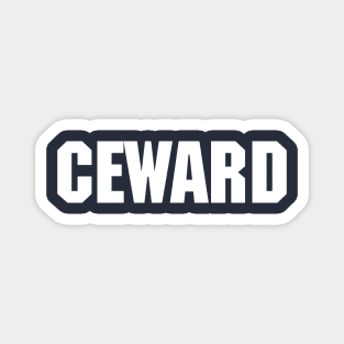 CEWARD Magnet