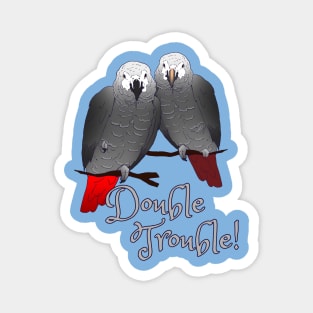 Congo and Timneh African Grey Parrot DoubleTrouble Magnet