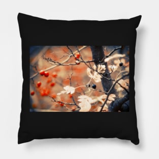 Autumn Forest Pillow