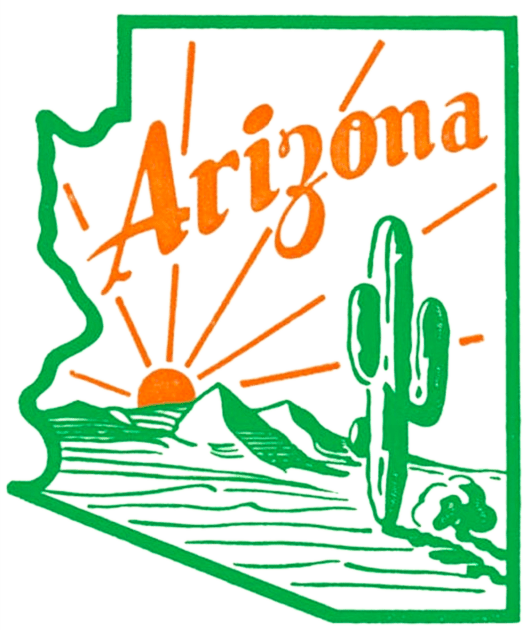 Arizona Kids T-Shirt by MindsparkCreative