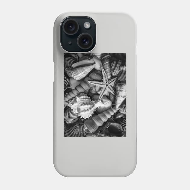 Beach Starfish Nature Summer Sea Shells Phone Case by eleonoraingrid