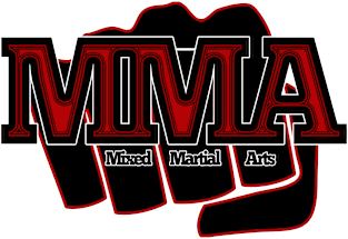 Mixed Martial Arts MMA Sports Magnet