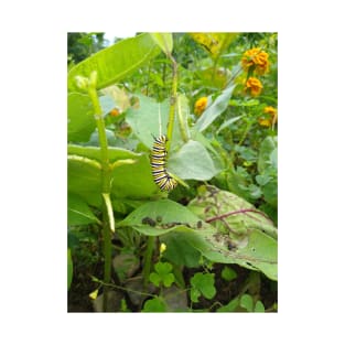 Monarch Butterfly Caterpillar T-Shirt