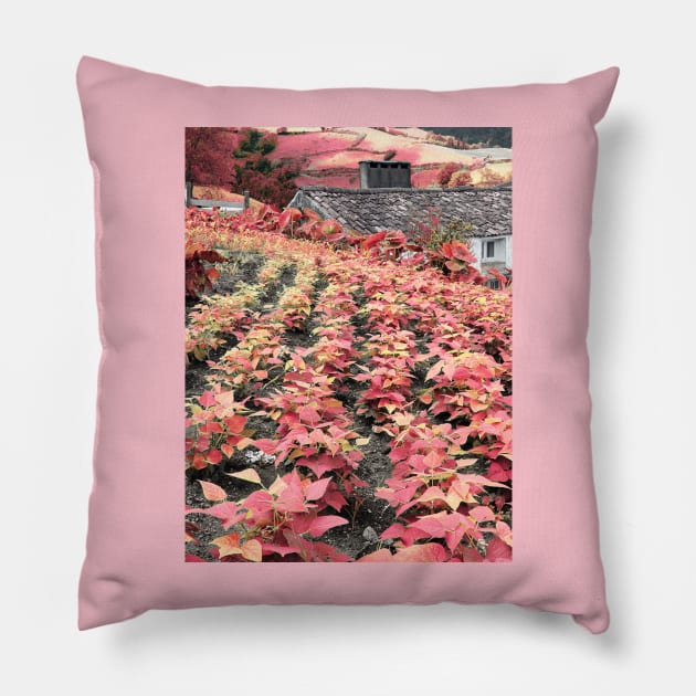 Organic agriculture Pillow by Gaspar Avila