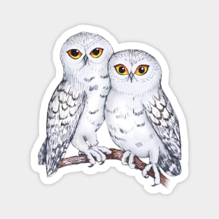 Two lovely snowy owls Magnet