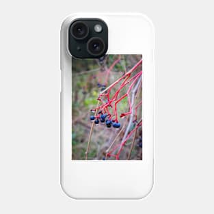 Dogwood Berries 2 Phone Case