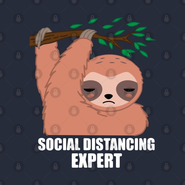 Social Distancing Expert Sloth by BraaiNinja