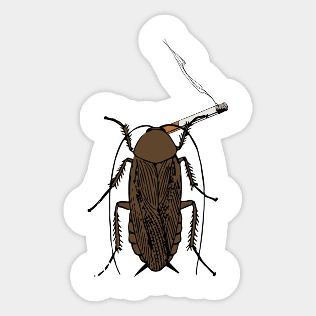 Cockroach Smoking Cigarette Funny Meme Internet Video Roach Smoke Cockroaches Sticker Teepublic