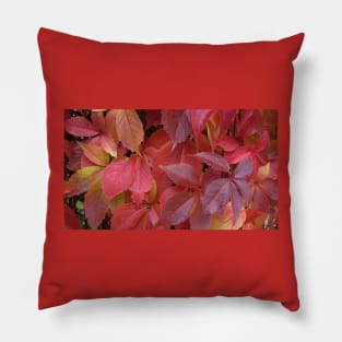 Red Autumn Leaves Pillow