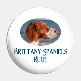 Brittany Spaniels Rulel Pin