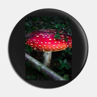 Bright red magical mushroom with white spots deep in the forest Pin