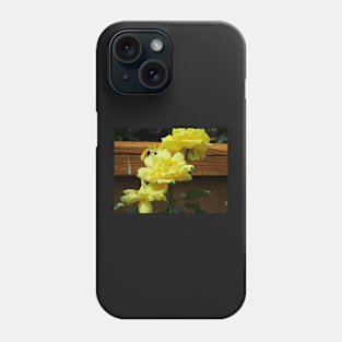 Yellow climbing roses Phone Case