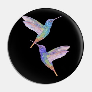 two hummingbirds Pin